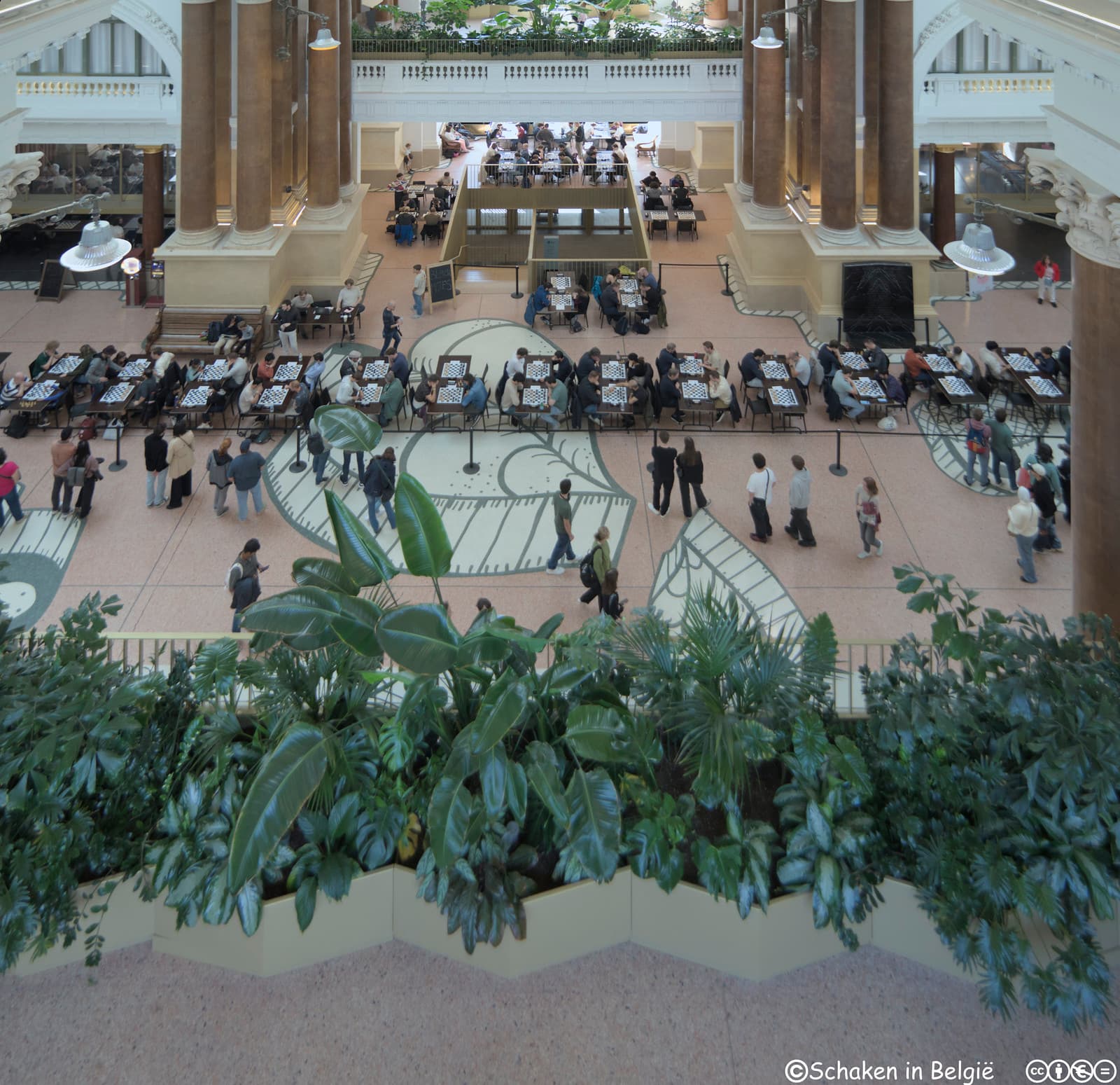Chess & Mates Festival — Brussels Stock Exchange